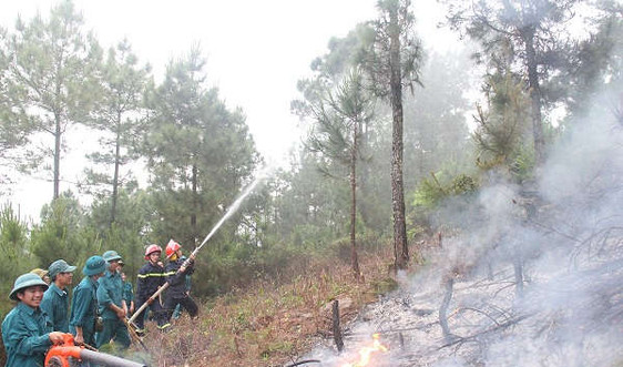 Thanh Hóa: Nỗ lực phòng cháy rừng trong mùa nắng nóng