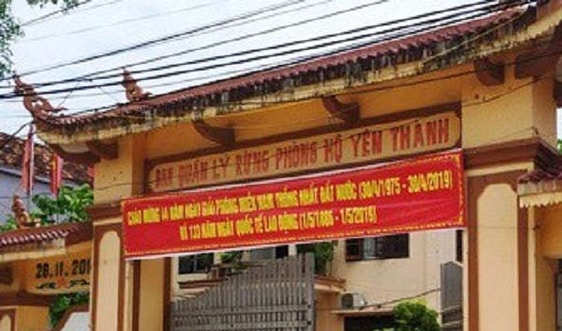 Nghệ An: Bắt nguyên Trưởng ban và 2 cán bộ BQLRPH Yên Thành