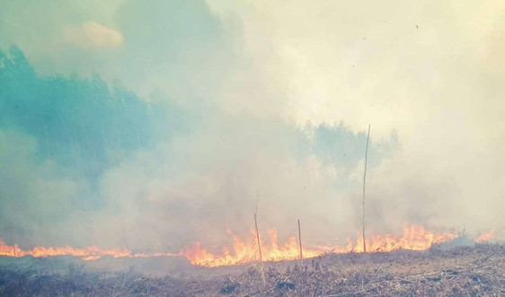 Thừa Thiên - Huế: Khống chế đám cháy mới trên rừng keo tràm xã Phong Xuân huyện Phong Điền