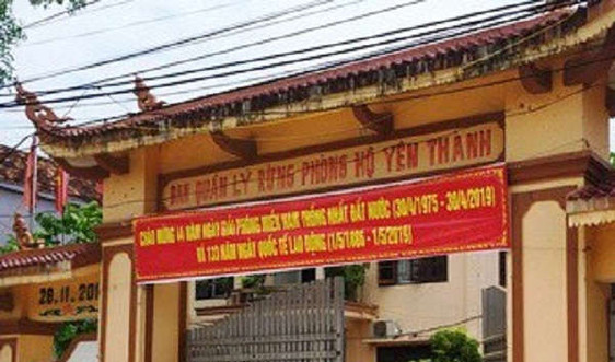 Nghệ An: Khởi tố thêm 5 cán bộ BQL rừng phòng hộ huyện Yên Thành