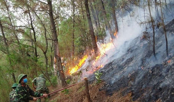 Nghệ An: Liên tiếp xảy ra cháy rừng do khô hạn