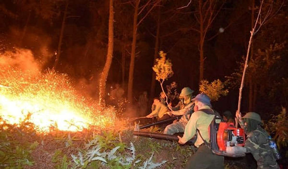 Hà Tĩnh: Hơn 1000 người tham gia dập tắt đám cháy rừng trong đêm