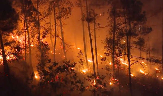 Thừa Thiên Huế là một trong những địa phương có nguy cơ cháy rừng ở cấp cực kì nguy hiểm