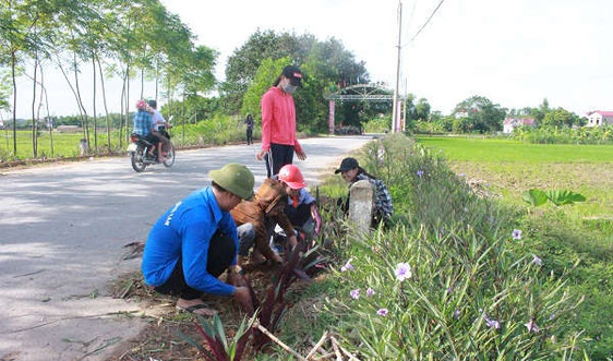 Tuổi trẻ Hà Nội tham gia phong trào trồng 'tuyến đường hoa' bảo vệ môi trường