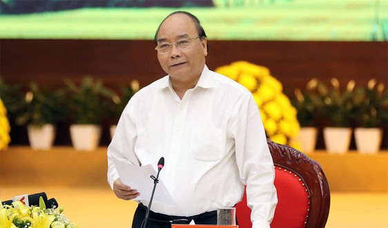 Thủ tướng Nguyễn Xuân Phúc: Phát huy lợi thế của từng địa phương để đưa cả vùng phát triển