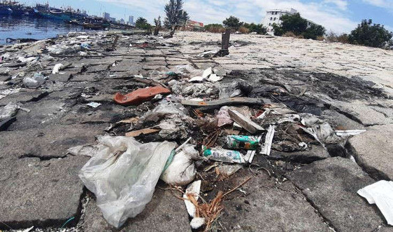 Đà Nẵng: “Điệp khúc” ô nhiễm Âu thuyền và cảng cá Thọ Quang