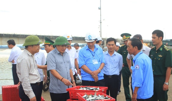 Quảng Trị: Kiểm tra việc thực hiện các khuyến nghị của Ủy ban Châu Âu về chống khai thác hải sản bất hợp pháp