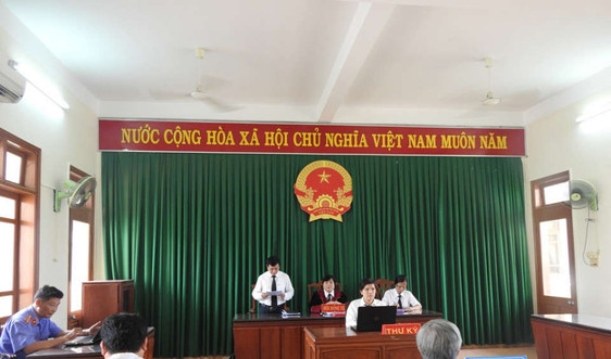 Vụ QSDĐ của gia đình Mẹ VNAH Trương Thị Thị: Phán quyết thấu tình, đạt lý của TAND tỉnh Quảng Ngãi