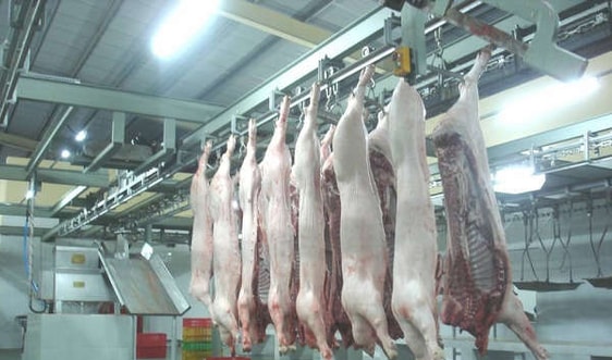 Hà Nội: Sẽ thống nhất mạng lưới cơ sở giết mổ động vật tập trung