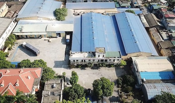 Công ty Cổ phần Bitexco Nam Long (Thái Bình): Ngang nhiên sử dụng đất sai mục đích và vi phạm về môi trường