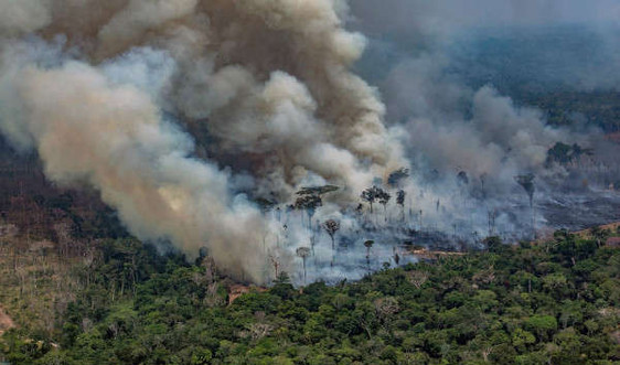 Loạt ảnh về thảm họa cháy rừng nhiệt đới Amazon