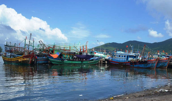 Đà Nẵng: Âu thuyền Thọ Quang quá tải trước mùa mưa bão
