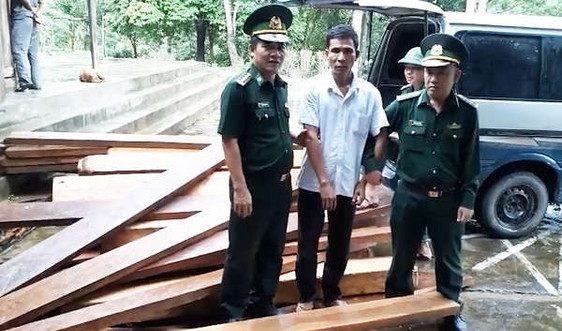 Quảng Bình: Bắt đối tượng lợi dụng mưa bão vận chuyển gỗ lậu