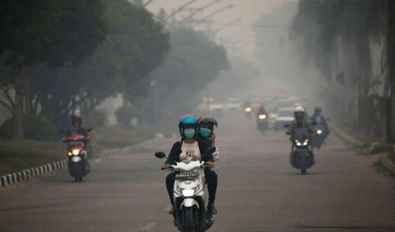 Indonesia: Ô nhiễm không khí “nguy hiểm” ở Borneo, nhiều trường học phải đóng cửa