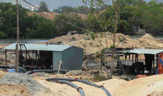 Bình Định: Doanh nghiệp hút cát, lấp lạch, hủy diệt rừng ngập mặn đầm Thị Nại