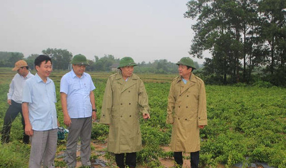 Cam Lộ sẽ trở thành huyện đầu tiên tại Quảng Trị đạt chuẩn nông thôn mới