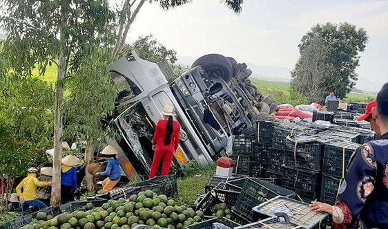 Người dân Quảng Ngãi giúp tài xế thu gom trái cây đổ ra đường