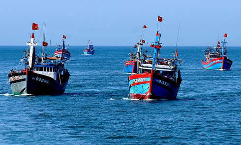Chấm dứt tình trạng tàu cá vi phạm khai thác hải sản trái phép