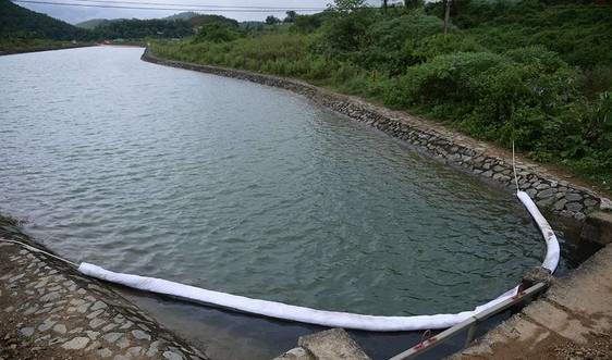 Hà Nội: Thông tin mới nhất về chất lượng nước sạch Sông Đà