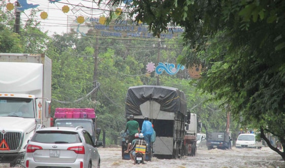 Bình Định, Phú Yên ứng phó với cơn bão số 5