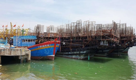 Miền Trung: Sẵn sàng các phương án ứng phó bão số 5 