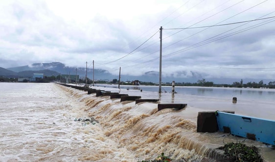 Bình Định, Phú Yên thiệt hại sau cơn bão số 5