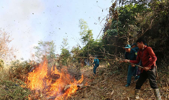 Lào Cai : Tập huấn công tác bảo vệ rừng cho cán bộ cấp cơ sở
