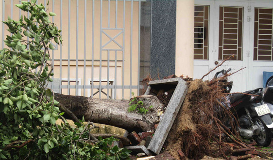 Cơn bão số 5 gây thiệt hại ban đầu ước tính khoảng 886 tỷ đồng 