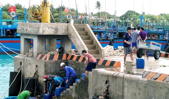 Ngư dân tránh trú bão số 6 tại các Âu tàu Trường Sa đã ra khơi đánh bắt hải sản
