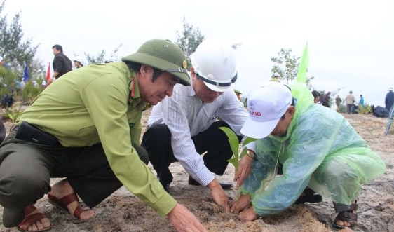 Quảng Nam: Nỗ lực “trả nợ” rừng