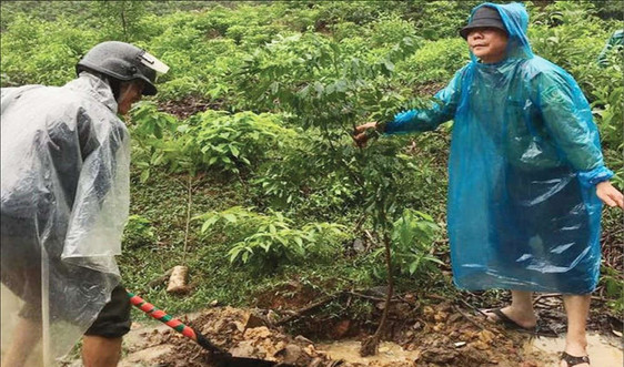 Thừa Thiên Huế: Cộng đồng thực hiện tốt công tác bảo vệ tài nguyên rừng