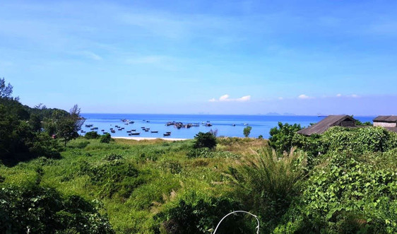 “Loạn” cấp phép dự án trên bán đảo Sơn Trà: Xâm phạm “rừng cấm”