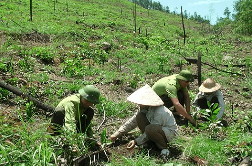 Hà Nội: Nỗ lực bảo tồn thiên nhiên và đa dạng sinh học