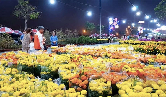 Hà Nội tổ chức 51 điểm chợ hoa xuân phục vụ Tết Nguyên đán Canh Tý năm 2020