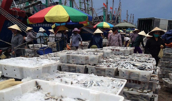 Nghệ An: Đầu tư 200 tỷ đồng xây dựng hạ tầng dịch vụ nghề cá tại Lạch Quèn