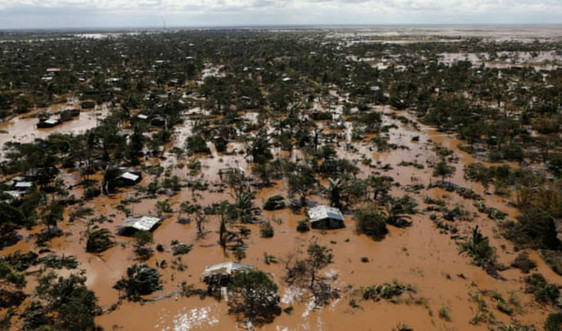 Khủng hoảng khí hậu liên quan đến ít nhất 15 thảm họa có mức thiệt hại từ 1 tỷ USD trở lên