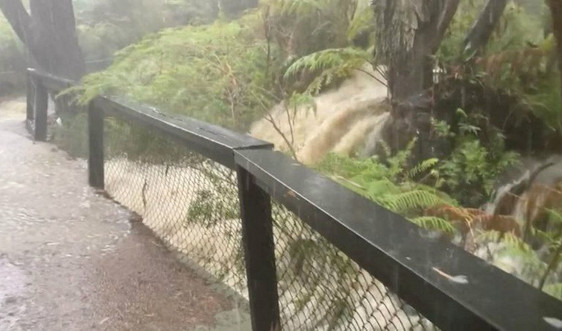 Australia: Lũ lụt, giao thông đình trệ khi bão đổ bộ một số khu cháy rừng