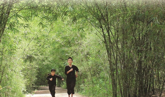 Thương bóng tre làng