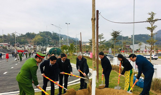 Sơn La: Ra quân phát động Tết trồng cây Xuân Canh tý 2020
