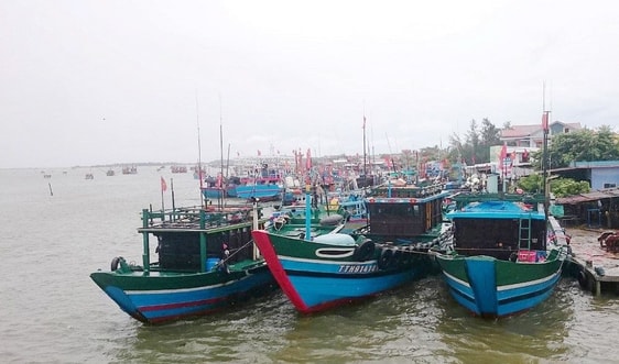 Thừa Thiên Huế: Xử phạt nghiêm tàu khai thác hải sản bất hợp pháp ở vùng biển nước ngoài