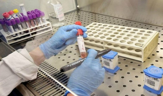 Bộ Khoa học và Công nghệ phê duyệt bổ sung đề tài nghiên cứu thử nghiệm thuốc điều trị vi rút corona mới