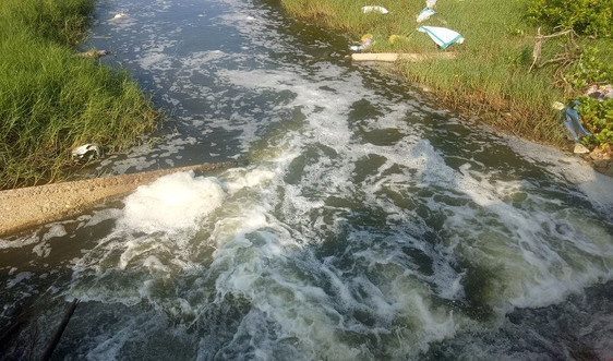 Đã có kết quả kiểm tra vụ: “Hàng loạt hồ nuôi tôm chưa đảm bảo hệ thống xử lý nước thải tại Quảng Bình”