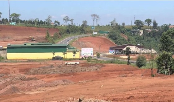 Đắk Nông: Huỷ hoại 4,8ha đất, một cá nhân bị phạt 105 triệu đồng