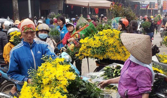 Những người mua bán ở chợ hoa Mê Linh từ 20/3 cần liên hệ y tế gấp