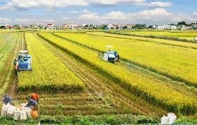 Hoàn thiện 2 Dự thảo Nghị định về đất đai