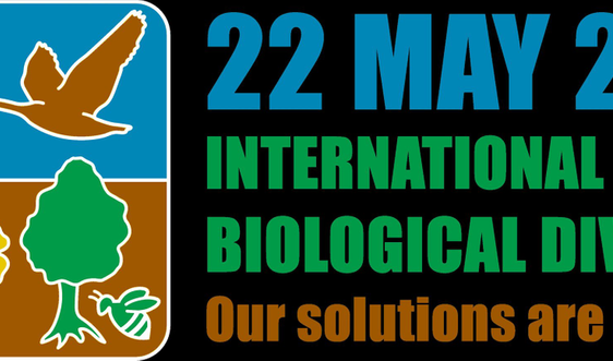 Hưởng ứng Ngày quốc tế Đa dạng sinh học năm 2020