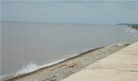 Trà Vinh: Hơn 57,5 tỷ đồng thực hiện Dự án kè bảo vệ đoạn xung yếu bờ biển xã Hiệp Thạnh giai đoạn II
