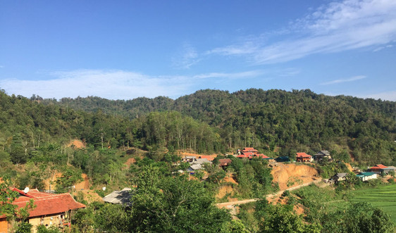 Mường Chà (Điện Biên): Đẩy mạnh giao đất giao rừng
