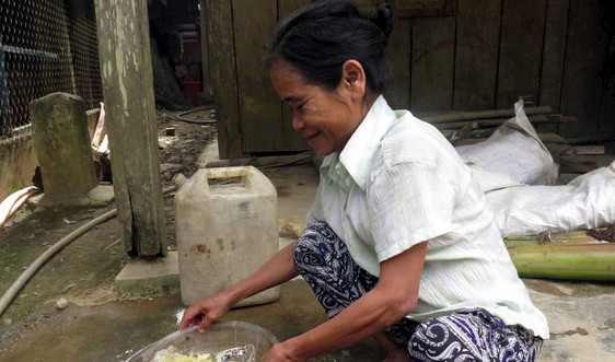 Quảng Nam: Nhiều hoạt động hưởng ứng Tuần lễ quốc gia nước sạch và vệ sinh môi trường