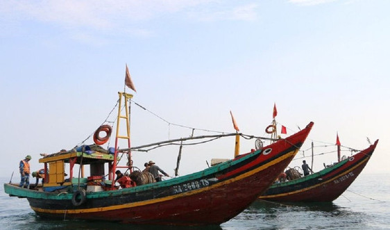 Nghệ An: Xử lý 4 tàu cá đánh bắt thủy sản trái phép